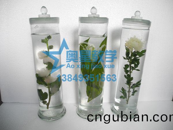 中(zhong)藥標(biao)本廠傢：製作(zuo)中藥(yao)標(biao)本(ben)應該對(dui)藥材(cai)如何處(chu)理(li)？