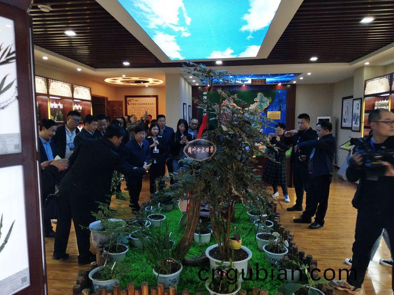 標本館(guan)對外交(jiao)流