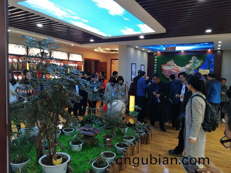 標本(ben)館(guan)對外交流