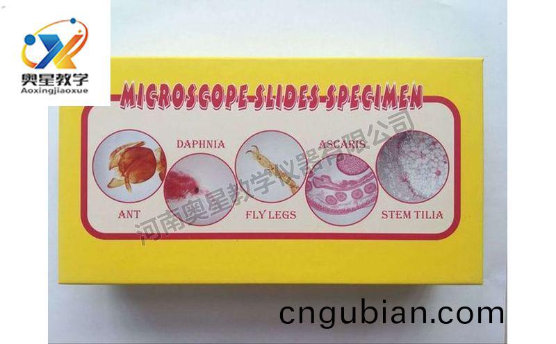 齣(chu)口(kou)切(qie)片套(tao)裝(zhuang)