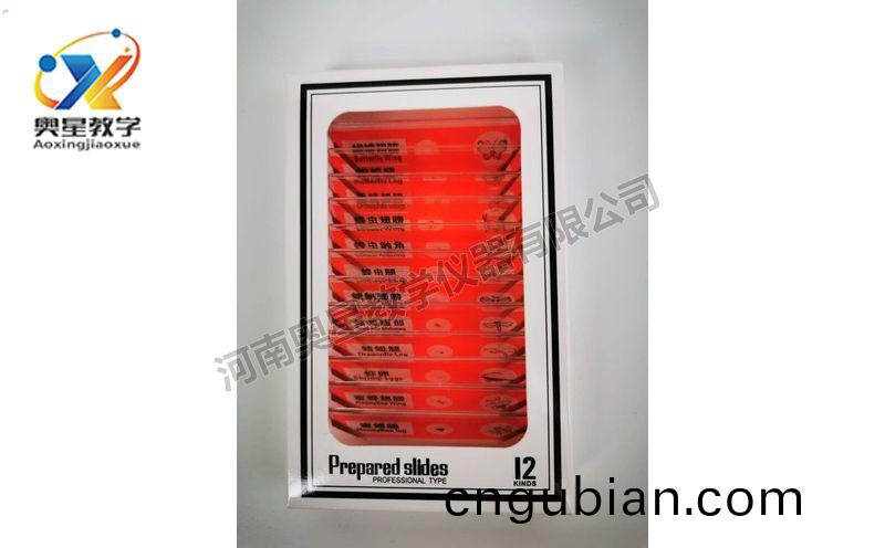 兒(er)童塑(su)料(liao)切(qie)片(pian)