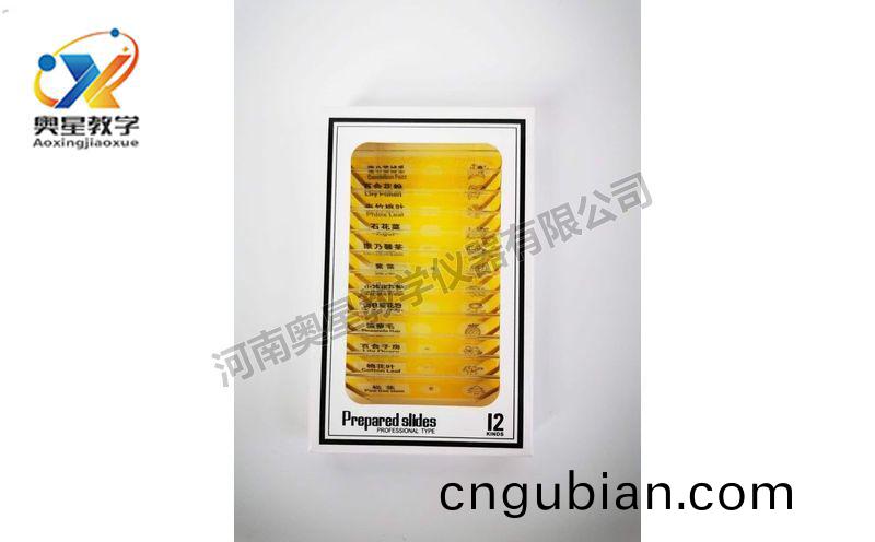 兒童(tong)塑(su)料(liao)切(qie)片