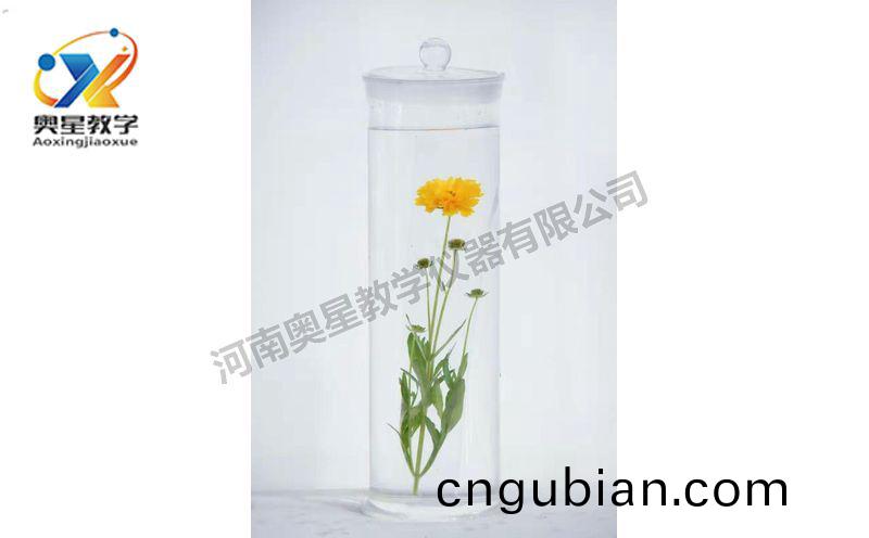 浸漬標(biao)本(ben)