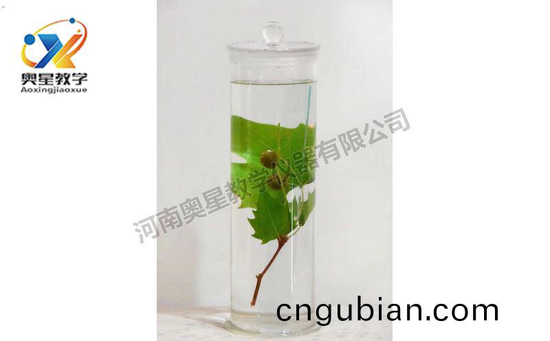 浸(jin)漬(zi)標(biao)本(ben)