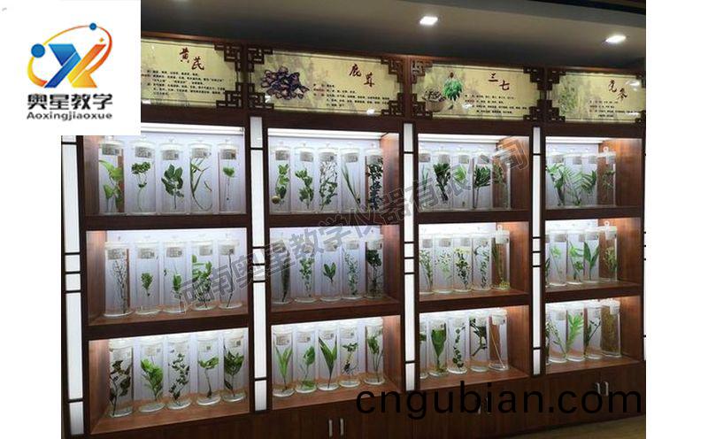 浸(jin)漬(zi)標本(ben)