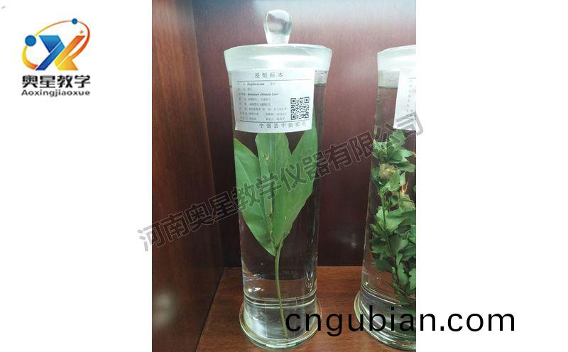 浸(jin)漬標(biao)本(ben)