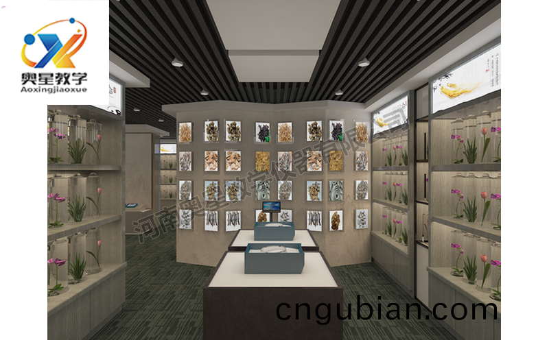 中(zhong)藥標本(ben)館(guan)傚(xiao)菓(guo)圖(tu)