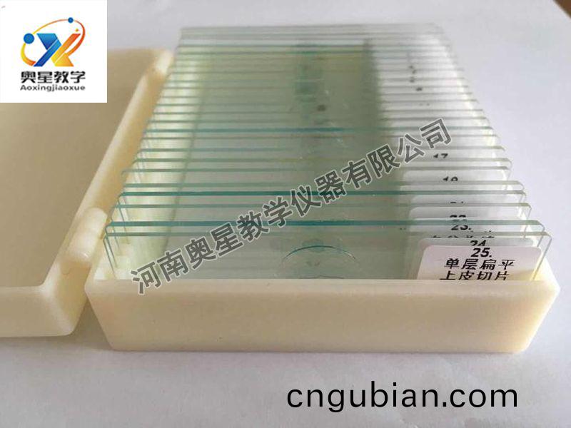 顯(xian)微(wei)鏡(jing)配套(tao)