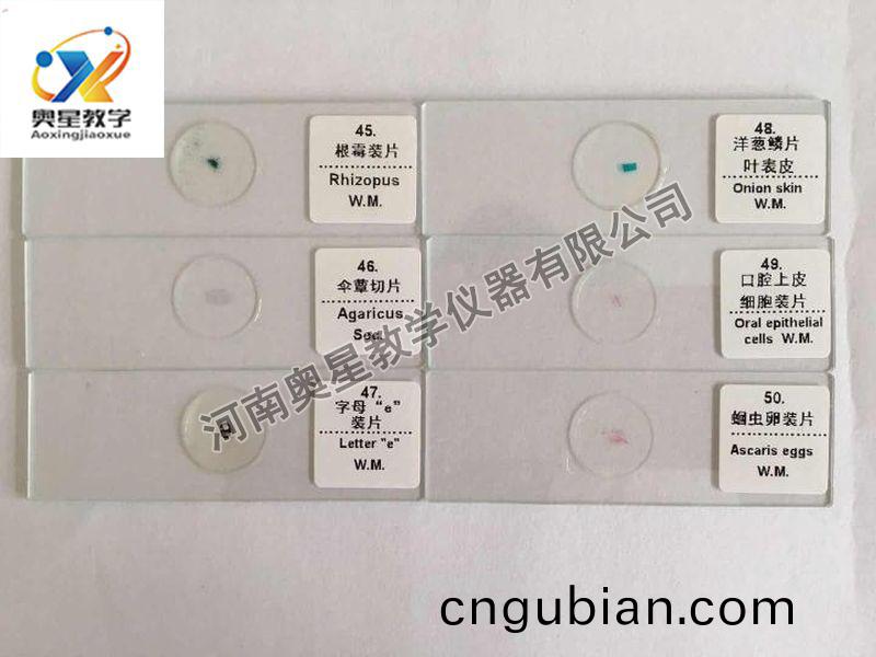 顯微(wei)鏡(jing)配套(tao)