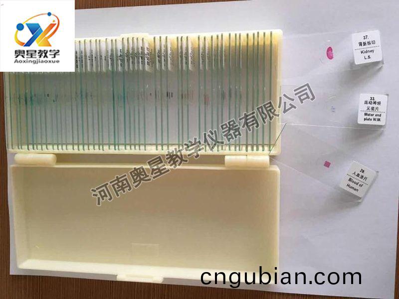 顯微(wei)鏡配套(tao)