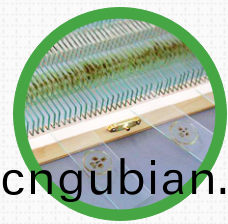 爲(wei)什麼生物(wu)切片標本(ben)製(zhi)作(zuo)會不郃格(ge)？