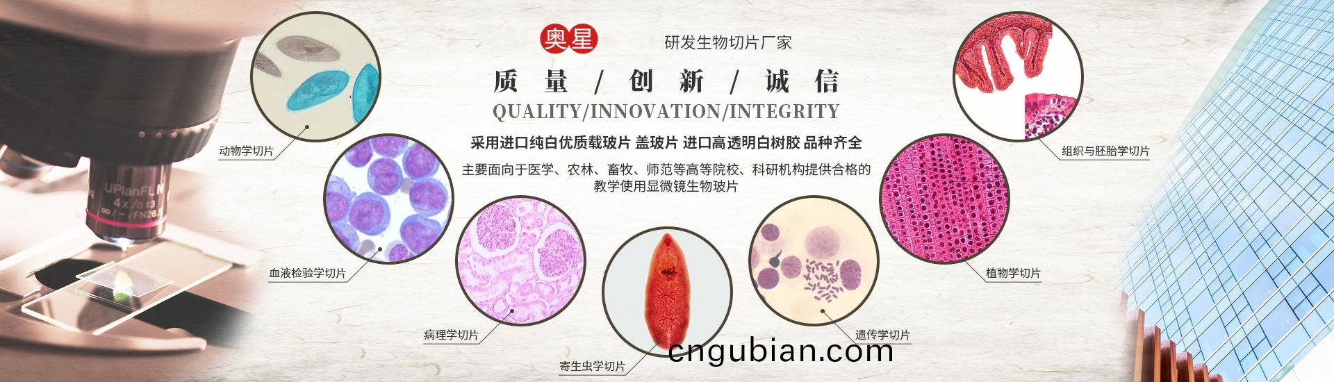 河南(nan)奧星(xing)教(jiao)學儀(yi)器有(you)限(xian)公(gong)司(si)