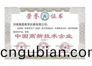 中(zhong)國(guo)高新區技術(shu)企業