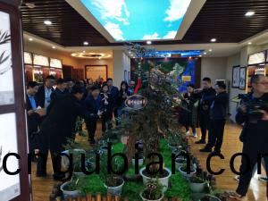 標(biao)本(ben)館(guan)對(dui)外交流(liu)