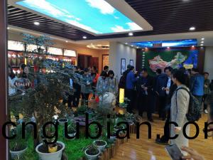 標本館(guan)對外(wai)交(jiao)流(liu)